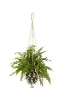 Set Of 4 Vibhav Handmade Jute Macrame Plant Hanger & Pot Holder - 105 cm